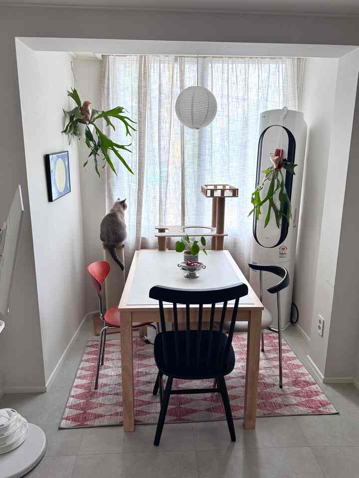 白い壁とベージュのカーテンがあるナチュラルな色調のダイニングスペース、キャットタワーと猫が配置された雰囲気のあるリビングインテリア