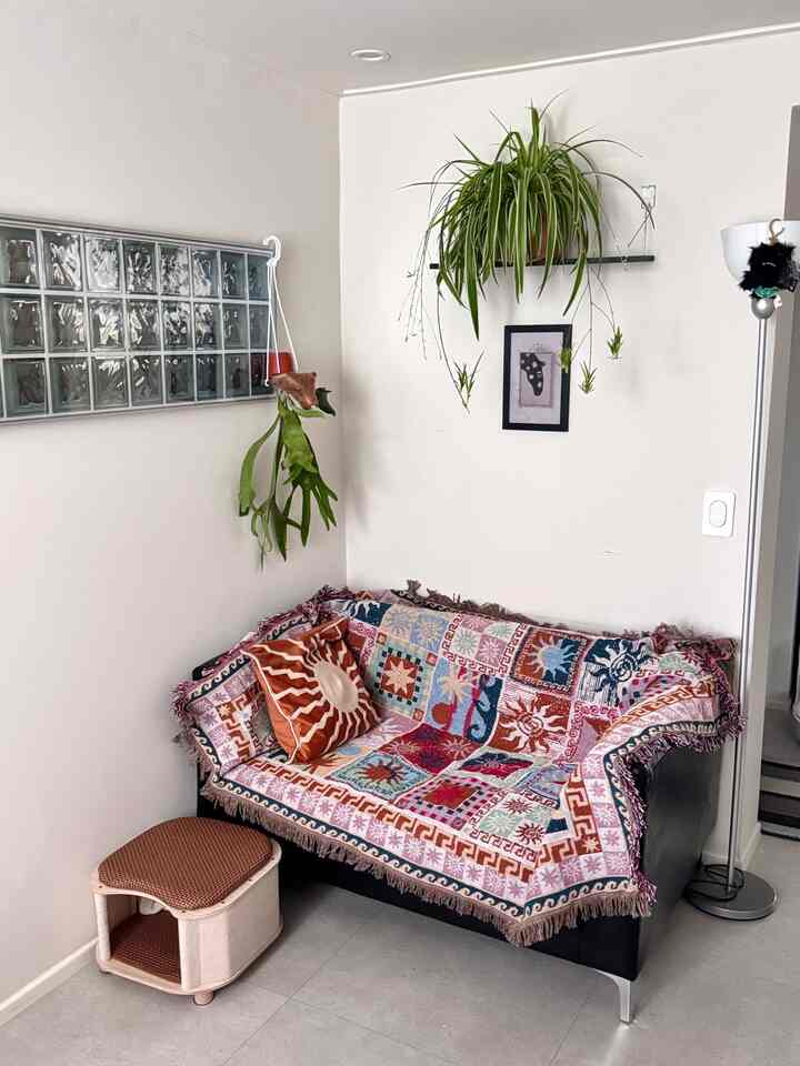 白い壁とナチュラルなトーンのリビング、模様のあるブランケットをかけたソファと多彩な植物が配置された雰囲気のあるインテリア