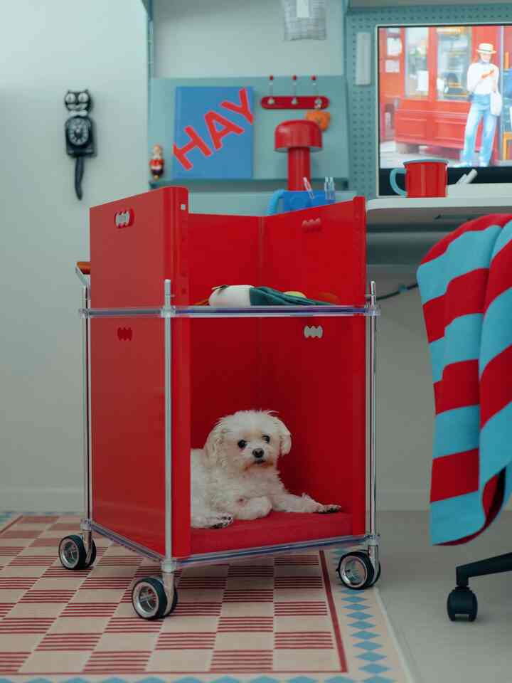 赤と青のトーンの小さな部屋で、車輪付きの赤いペットカートに犬が入り、近くに机が配置された雰囲気あるインテリア