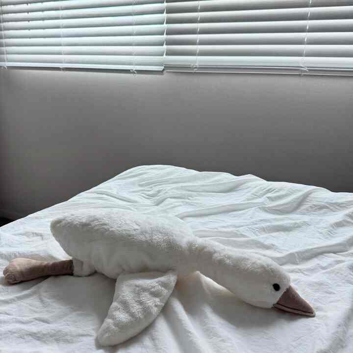 ブランガットアヒル愛着人形🪿🪿

洗濯後にもふわふわしてびっくりした製品..!
ジェフンはますます人形に触れ始めました。
手に着用してよく遊んでください🫶🏻
抜け落ちがないので安心です。
アヒルの両腕にビーズが加えられて
触覚発達と小筋肉発達にもいいと思います🤍
これからも良い友達になってほしい☺️

#ブランガト #오리인형 #애착인형 #출산선물 #돌선물 #백일선물 #국민육아템 #duck #plush #blancgateau