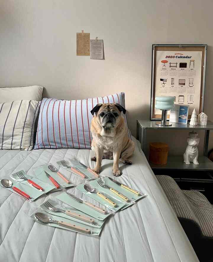 ＃かわいいテム最高です＃コンスープ記録

🏷️ ティーニブランレブカトラリーセット

感性カラーにリベットディテールまで
ただ食卓に載せておけばプレーティング完成🫶🏻

ずっと手に漂う感じもいいですよ。
価格まで着てデイリーテムで毎日使ってるよ

きれいな好きな人なら、無条件に満足しているようです。 ☺️

＃ダイニングテーブルスタイリング＃ホームカフェ感性＃カラーテーブルウェア＃家の飾り 