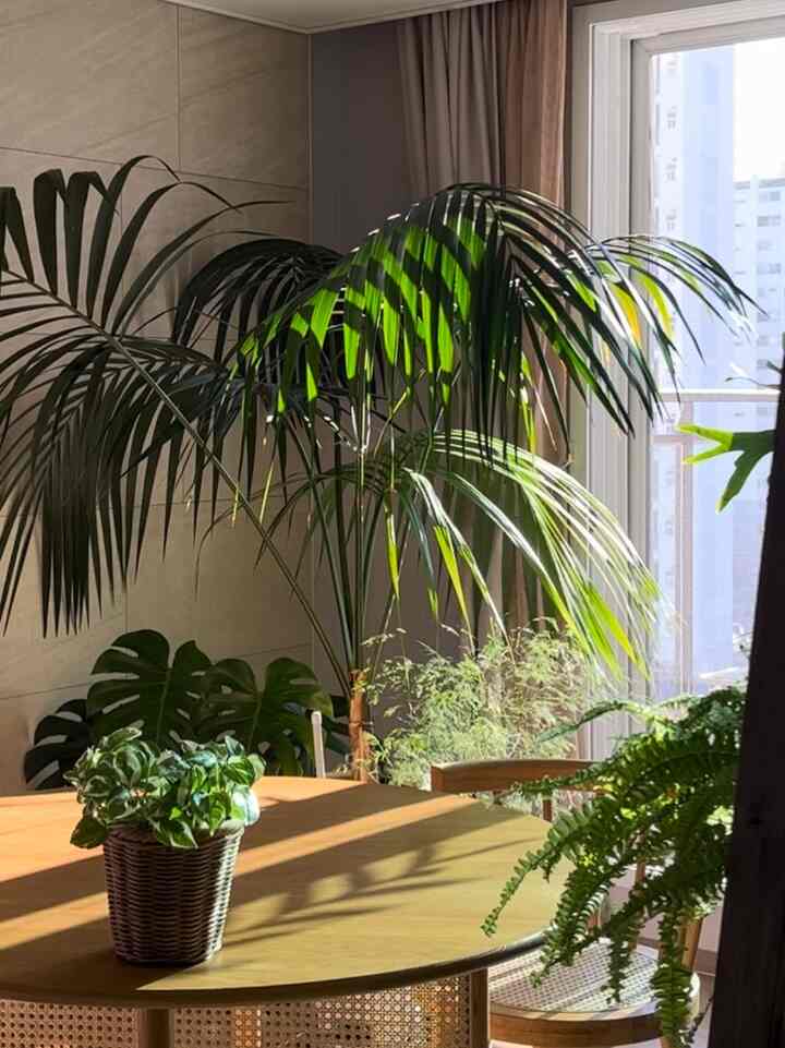 春になるから家に入る年が深まり長くなりました。
植民地時代はほっそりと眺めます。 ㅎㅎ

最近の天気は本当に良いです。 🌞
家順だが、こうして天気が良い時はもっと暑くなる前にたくさん遊びに行かなければならないという気がします。 ㅎㅎ 
最近春の外出先はどこに行きますか？

＃家のインテリア 