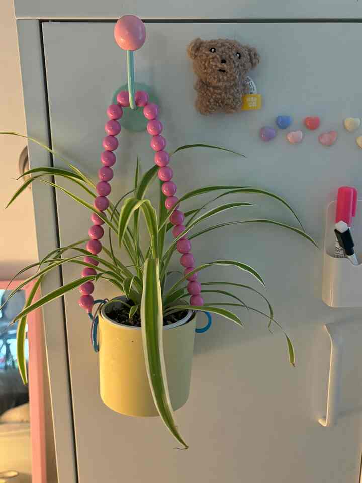 #식물이있는집

Now, our house really needs plants!
Hanging flower pots made with toilet paper holders from Temu 🪴

#Plants #식물일기 #식물인테리어 #방꾸미기 #방인테리어 #캐비넷 #캐비넷수납장 #캐비넷자석 #화분 #원룸인테리어 #원룸꾸미기