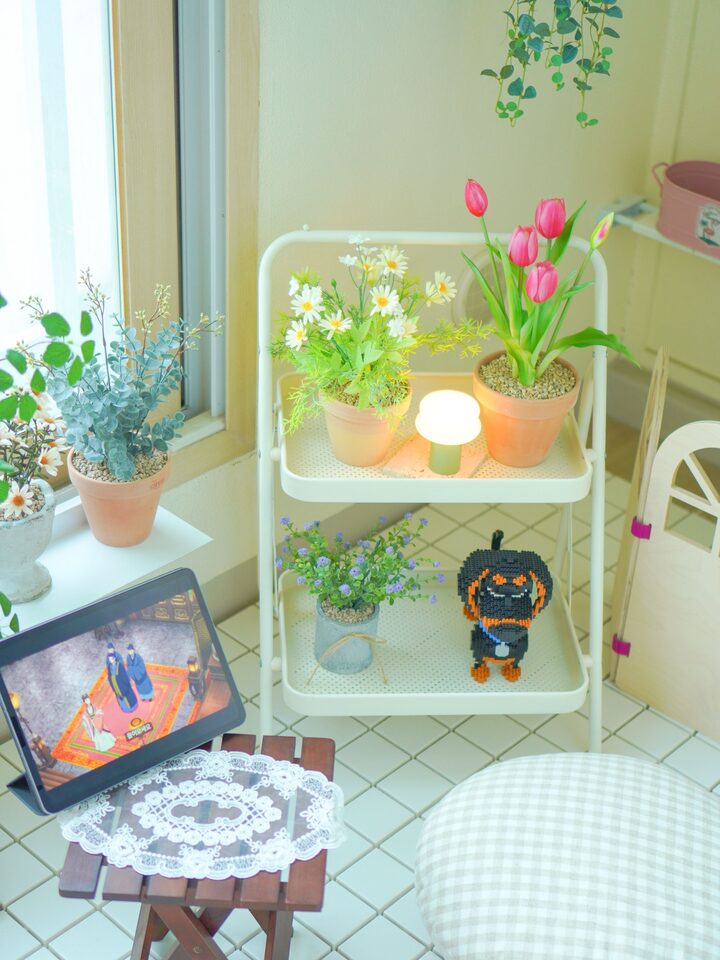 short form carousel card thumbnail