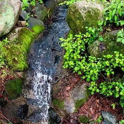 #오늘의가든 #산 