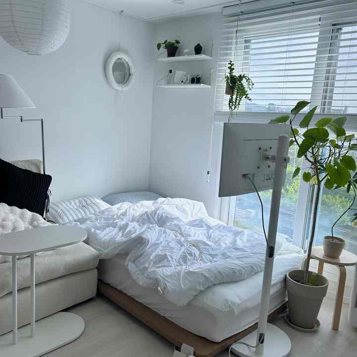 White-toned bedroom featuring a natural modern wooden bed frame with white bedding, window blinds, and plants creating a cozy atmosphere