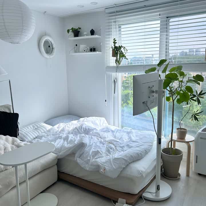 Bright white-toned 6-pyeong studio bedroom featuring a low bed, white sofa, portable TV stand, and plants in a tidy layout