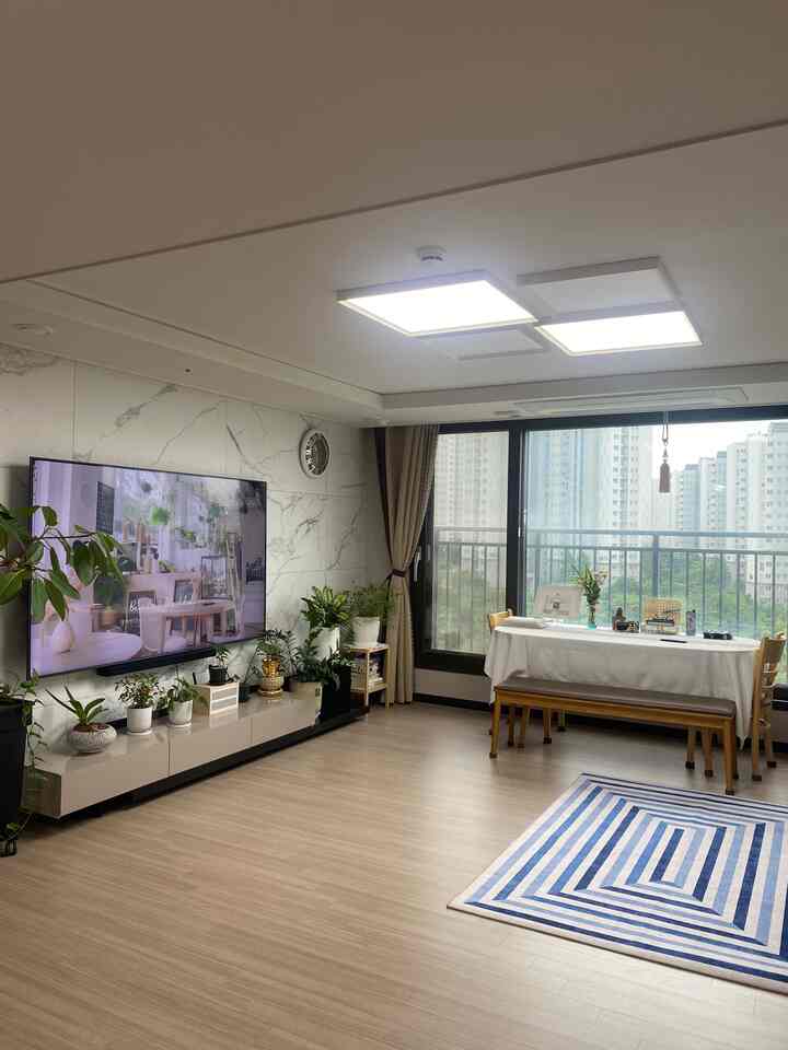 明るい木目調の床とベージュのカーテンがあるアパートのリビング、テレビ、ダイニングテーブル、植物が配置されたモダンで自然な雰囲気の空間