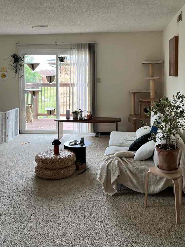 White and natural toned living room featuring sofa, side table, and cat tower, creating a cozy space