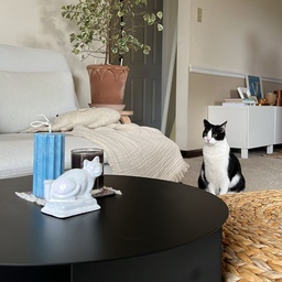 Don't let a small living room hold you back! Use a side table or stool as a coffee table and maximize your space!
#smallhouseinterior #livingroom #sidetable #HAY #IKEA
