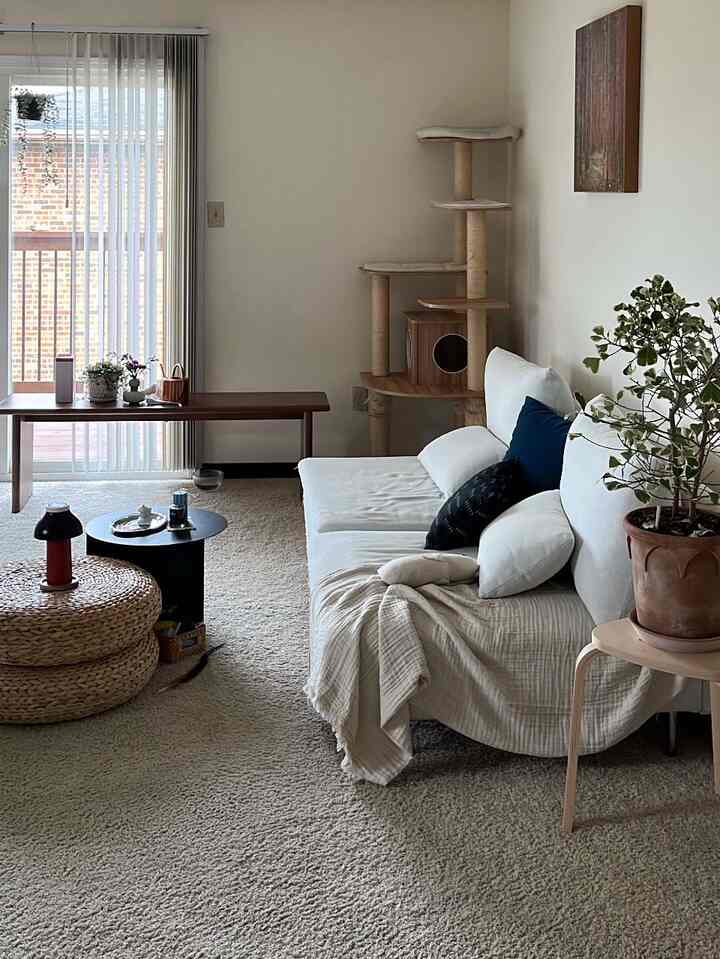 White and brown toned living room featuring a small sofa, side table, and a cat tower creating a natural atmosphere
