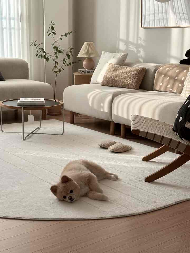 Bright white and wood-tone natural modern living room featuring a dog, comfortable sofa, and coffee table in a cozy space