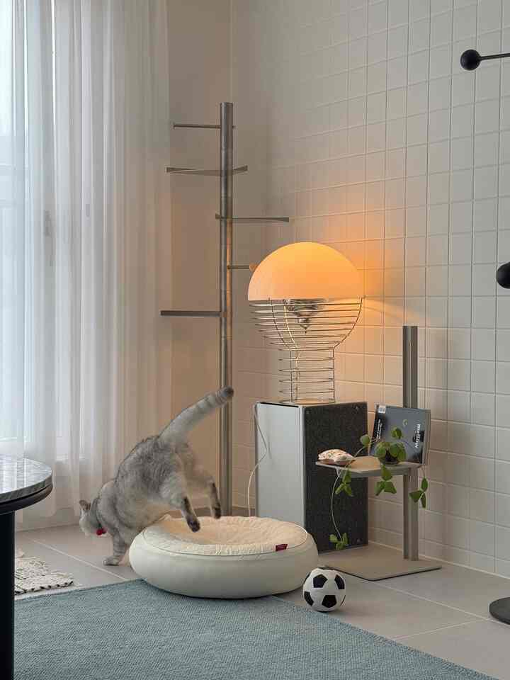 柔らかなナチュラルカラーのリビングコーナー、猫とペットベッド、爪とぎ、ラグが配置された印象的な空間