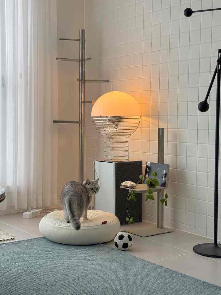 ナチュラルカラーのリビングコーナー、猫とペット用品が配置された雰囲気のある空間