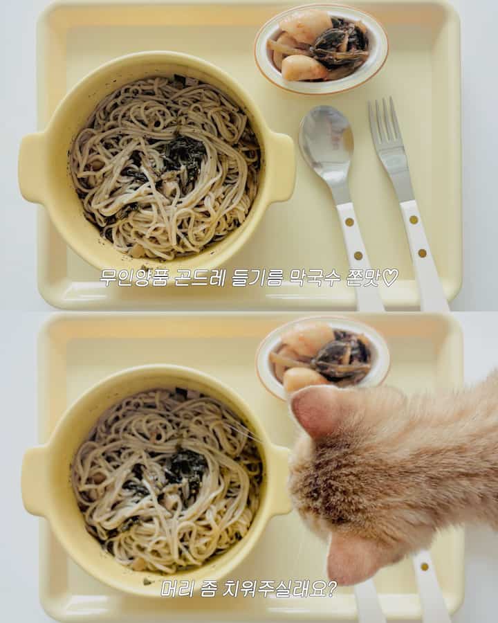 ＃オーホームストア＃コンスープ記録 
好奇心大麻王ピーナッツ
今日も間違いなく頭から押し出して
フォーカスを締めておいたという

＃私のお金の耐久＃執事日常＃無印良品で何を買う＃かわいらしいテム最高屋＃シラクス＃無印良品＃陶器のボウル＃野生のスープ＃トレイ＃トレイトレイ＃自宅で最も忙しい＃今日の私たちの家＃猫＃猫の執事＃シンヒタ＃シンヒタインテリア＃ミニマル＃イエロー＃買わないで養子縁組してください 