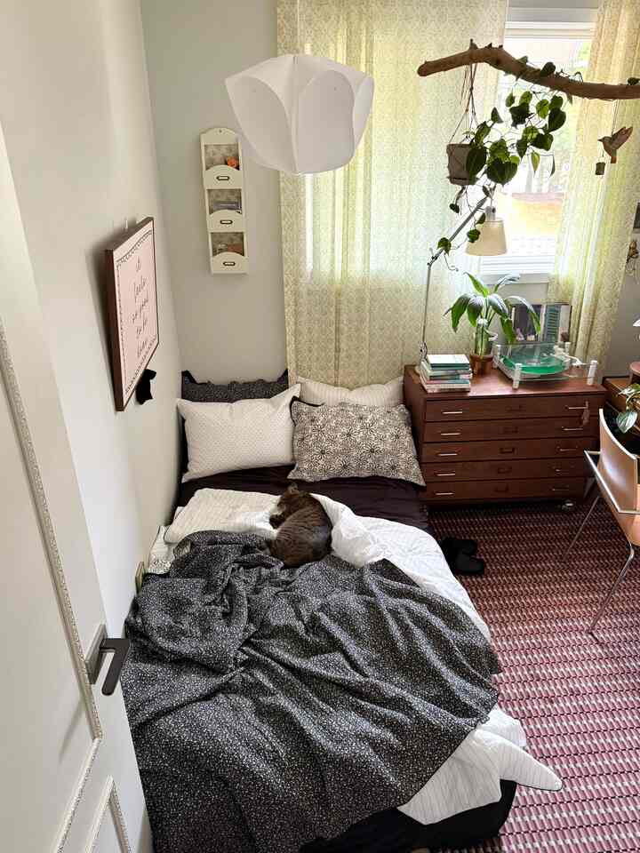 白い壁と黒い寝具の6畳の寝室、ベッドの上で猫がくつろぎ、収納チェストとデスクが配された落ち着いた空間