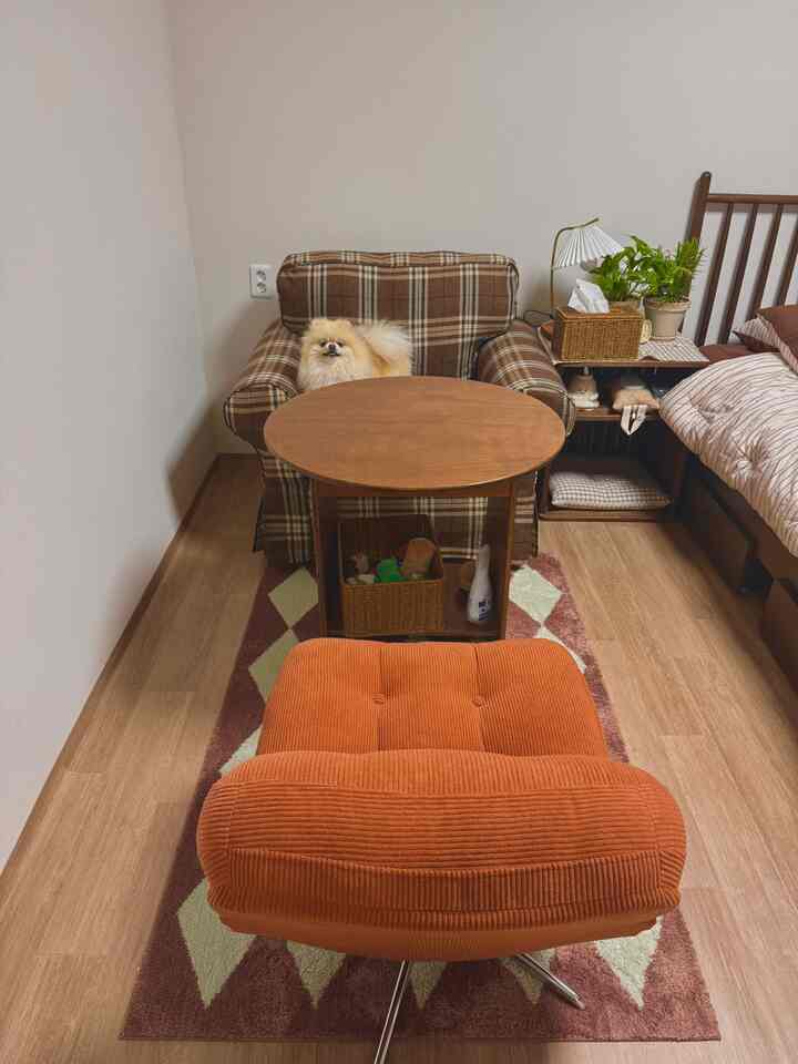 ベージュとブラウンのナチュラルな色調の寝室、チェック柄のアームチェアと丸い木製テーブル、ふわふわの犬が座っている落ち着いた雰囲気の空間