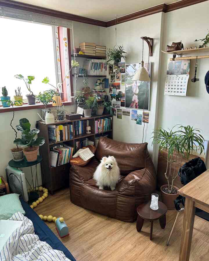 温かみのあるウッドトーンとビーンバッグ、植物が配置された小さな部屋に犬が座る雰囲気のあるインテリア