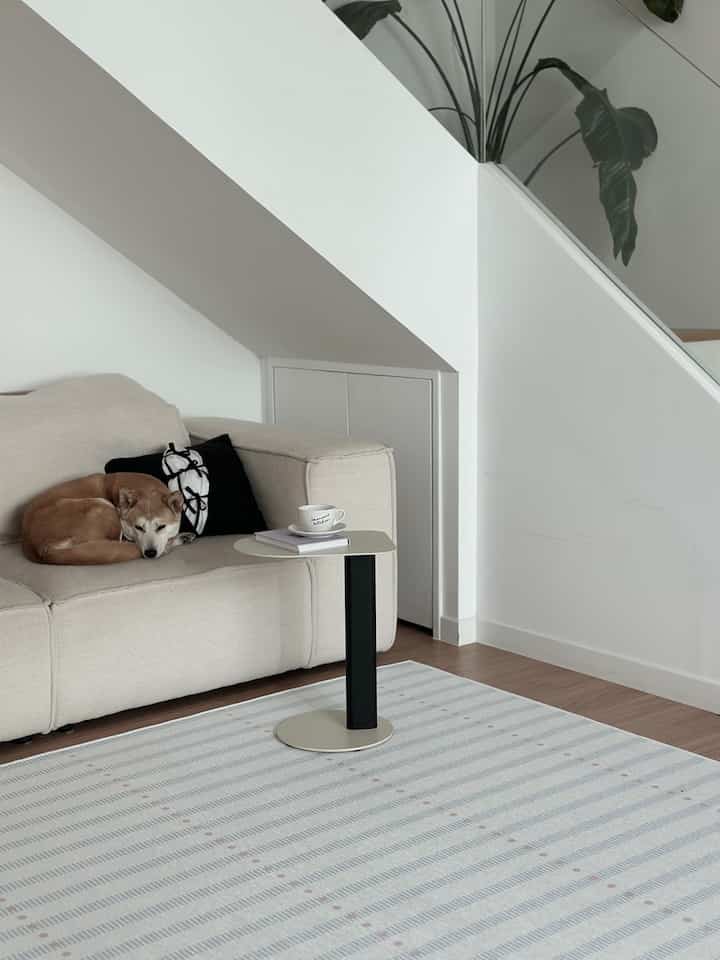 ベージュのナチュラルトーンのリビング、ソファの上に犬が休んでおり、サイドテーブルとパターンラグが配置された雰囲気のあるインテリア。