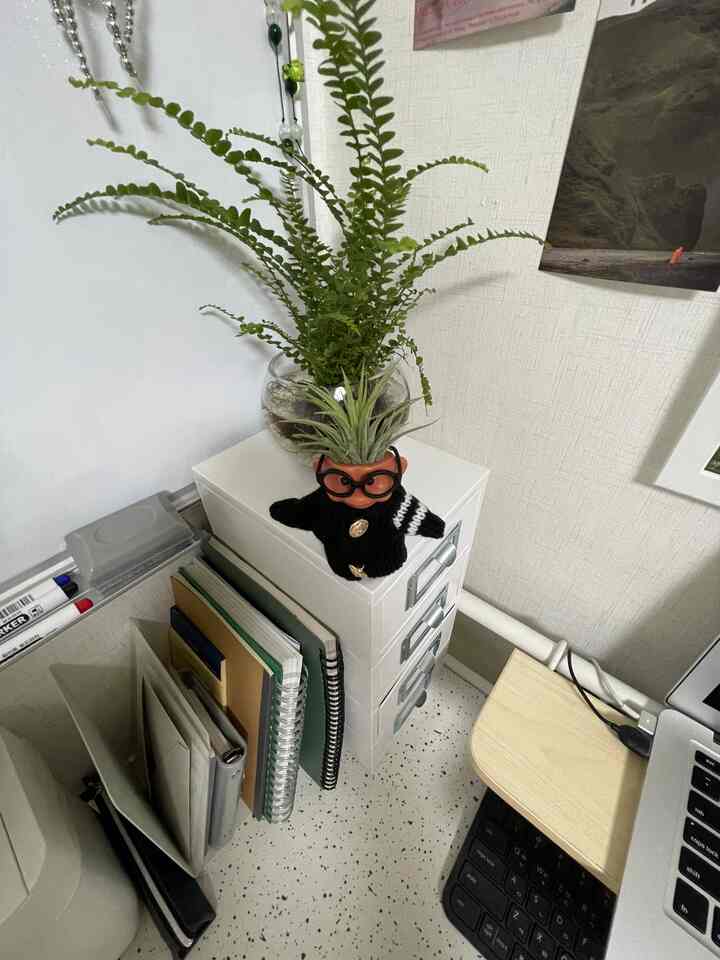 家に持ってきたかわいい鉢植え💭
どこに置くのが一番いいですか？

1. 机の上
2. リビングルームの壁
3. ソファ横の協卓

/
＃インテリア＃今日の家＃今日の家のキュレーター＃今日の家のレビュー＃ナドンナサン＃今日の家内ドンナサン＃ペットプラント＃グリーンテリア＃デスクテリア＃韓国インテリア＃インテリア＃植物＃鉢植え＃リビングルーム＃デスクインテリア＃コンスープ＃サンパル＃コミュニケーション＃Instagram