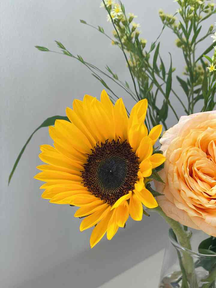 🌻花が咲いていました！

ボブティシアはすぐに枯れてすぐに抜けました😭

今日はコンスープの締め切りです。
早くアップロードしてください。
娘とデートに出かけなければなりません。

まだ残っている方はすぐに仕上げてください❣️
ファイティング୧( “̮ ) #오늘의가든 #꽃다발 #누필드 #해바라기 #생화 #화병 #맞팔