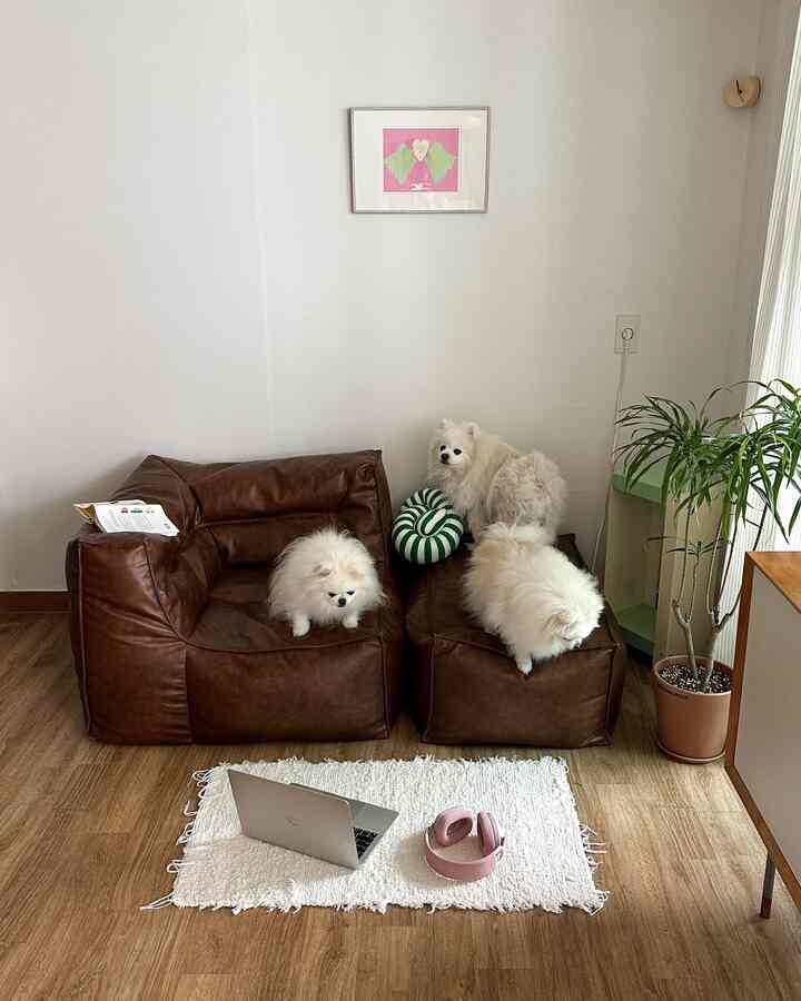 ナチュラルなトーンのリビング、茶色のビーズクッションソファと3匹の白い犬が配置された空間