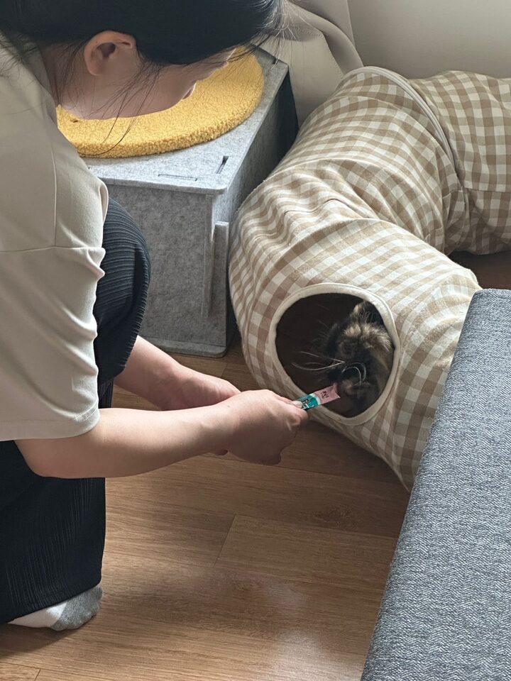 short form carousel card thumbnail