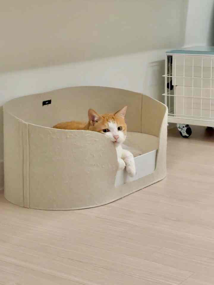 ベージュとウッドトーンの調和が美しいリビング、ペットベッドにくつろぐ猫がいるミニマルな空間