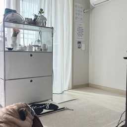 #집에서제일바빠 #콘수프기록
오늘은 정말 바빠요 아침부터..
집에서 쓰던 벽걸이 에어컨 이전집에서 부터 쓰던거라
7년 정도 잘 사용했는데
이번에 새걸로 바꾸게 되었어요🥹
작업 공간 만들어드려야해서
아침부터 쇼파 다 치우고
베란다에 있던 수납박스들 다 옮기구
2번사진처럼 이사첫날같은 아수라장이 되었어요
ㅋㅋㅋㅋㅋㅋ
집이 넓으면 방 하나에 다 갖다 넣으면 되는데
거실이랑 방 하나 밖에 없으니까
지금 완전 발 디딜틈이 없는 ㅠㅠ
정말 다 버리고 싶지만 
울 신랑이 애정하는 할로윈이랑 크리스마스 소품들이라서 어쩔수 없네요…
ㅋㅋㅋ
자녀분들 키우시는 분들은 아이 장난감, 책들이 가득하시겠지만
자녀없는 우리집은 신랑이랑 랄라 짐이 가득인거 같아요 ㅋㅋㅋㅋ
에어컨 설치 하는데 1시간 이상 걸리고
그다음에는 짐들 다시 다 제자리에 두고
그 사이에 랄라 산책 가다보면
하루가 다 가겠어요ㅠㅜ ㅋㅋㅋㅋㅋ
틈틈히 놀러갈게용🥹
#일상 #일상기록 #에어컨교체 #짐정리 #바쁘다바빠  #벽걸이에어컨 #수납장 #오브제 #반려견과사는집 #오늘아침 
