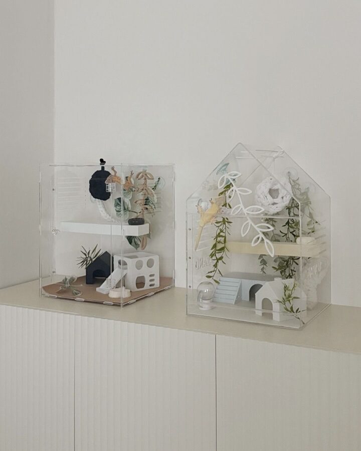 short form carousel card thumbnail