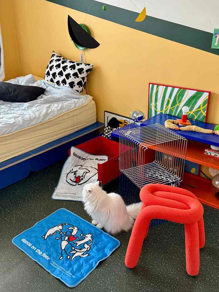 ホワイトとブルーのトーンのリビング兼寝室、オレンジのスツールとペットのネコがいるミッドセンチュリーモダンの雰囲気あるインテリア