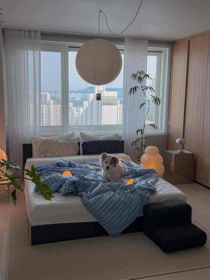 木目調と白・青の調和した寝室、ベッドに犬がいる雰囲気のある空間