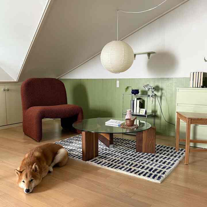 Green-walled loft living room with brown single sofa and a resting Shiba Inu dog, natural style ambiance