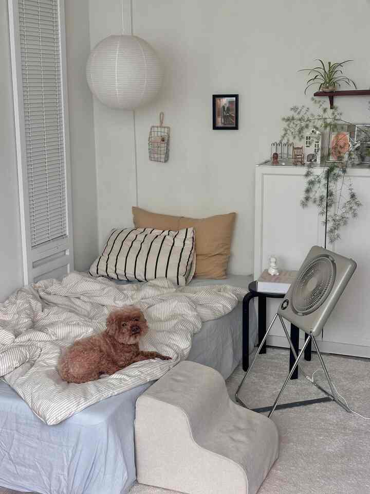 Natural toned bedroom featuring bed with a dog, stool, and a fan creating a cool and cozy atmosphere