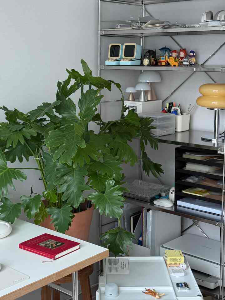 Minimal home office with white walls and silver shelving, featuring a large green plant as a focal point