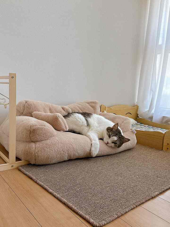 ナチュラルな木目調とベージュカラーのリビングコーナー、ふわふわのペットベッドの上でくつろぐ猫がいる雰囲気のあるインテリア