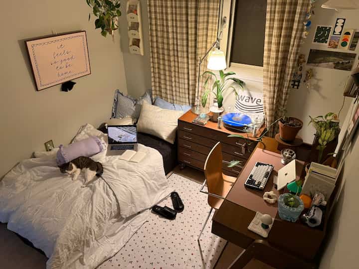 暖かいベージュトーンの小さな寝室、ベッドの上に猫とノートパソコンがあり、ウッドデスクと照明が雰囲気のあるインテリアを作り出している