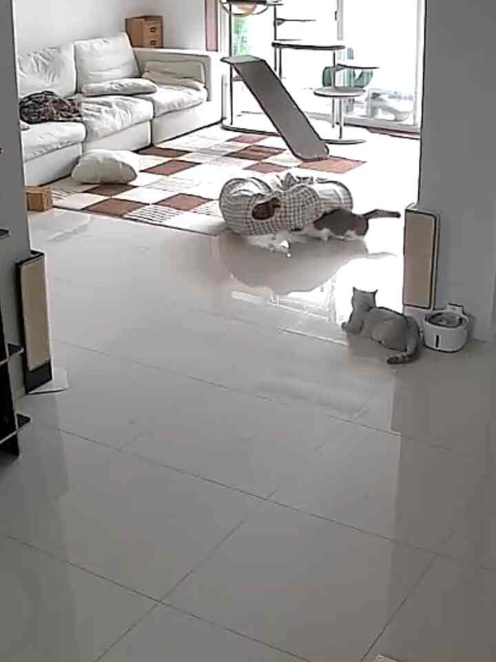 White and brown toned living room featuring large sectional sofa and cat tower in a pet-friendly space