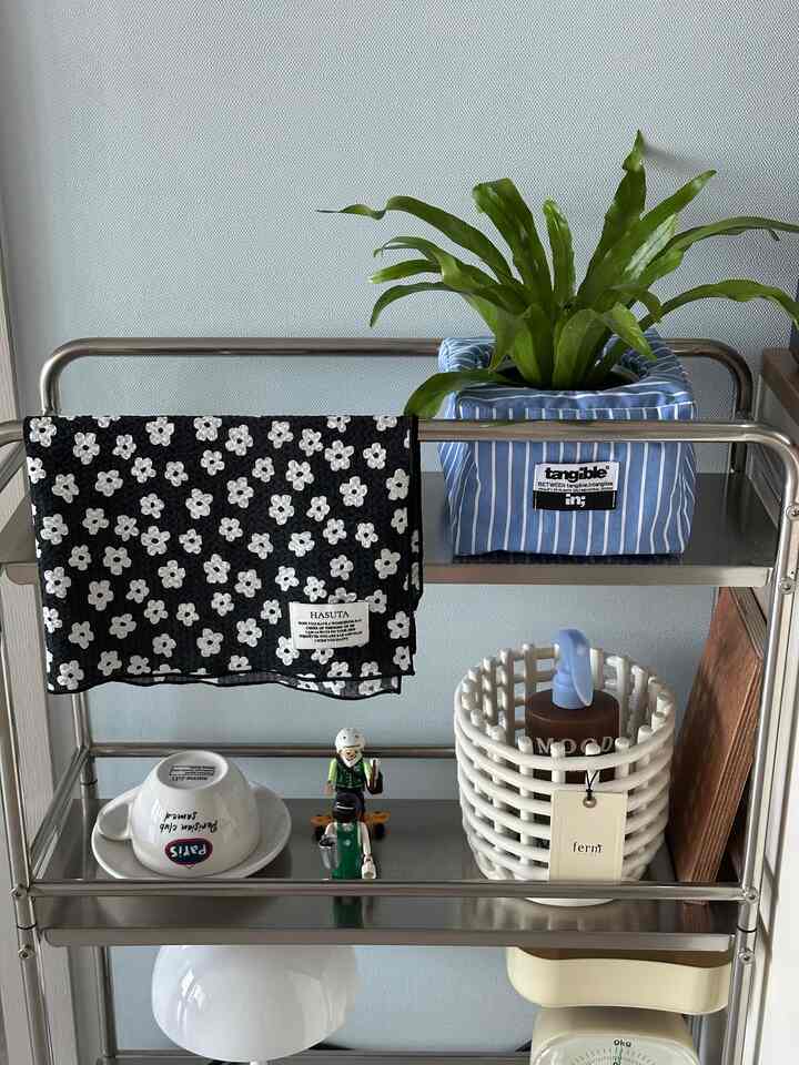 Itu sikrin, tapi masih tumbuh dengan baik di rumah kami. 🪴

Melihat foto lama, daunnya sudah tumbuh banyak dan tumbuh panjang. ㅎㅎ
Musim panas lalu, banyak tanaman mati karena kelembapan,
tapi saya harap tahun ini tanaman ini tumbuh dengan baik...🥹

#Sikrin #식물 #식물인테리어 #오늘의가든 #아비스고사리 #예쁜템최고야 #집에서제일바빠 #살림살이 #오늘장면한컷 #오늘의우리집 #쇠테리어 #콘수프기록 #맞팔