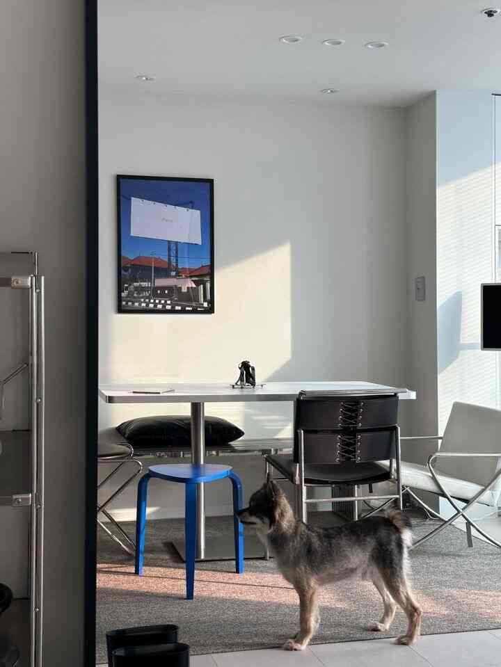 Modern small home office space in white and black tones featuring a dog and workspace furniture