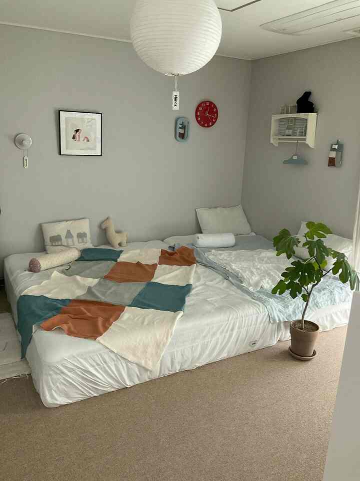 Light gray walled bedroom with beige carpet featuring two beds with patchwork throw and a plant creating a cozy atmosphere