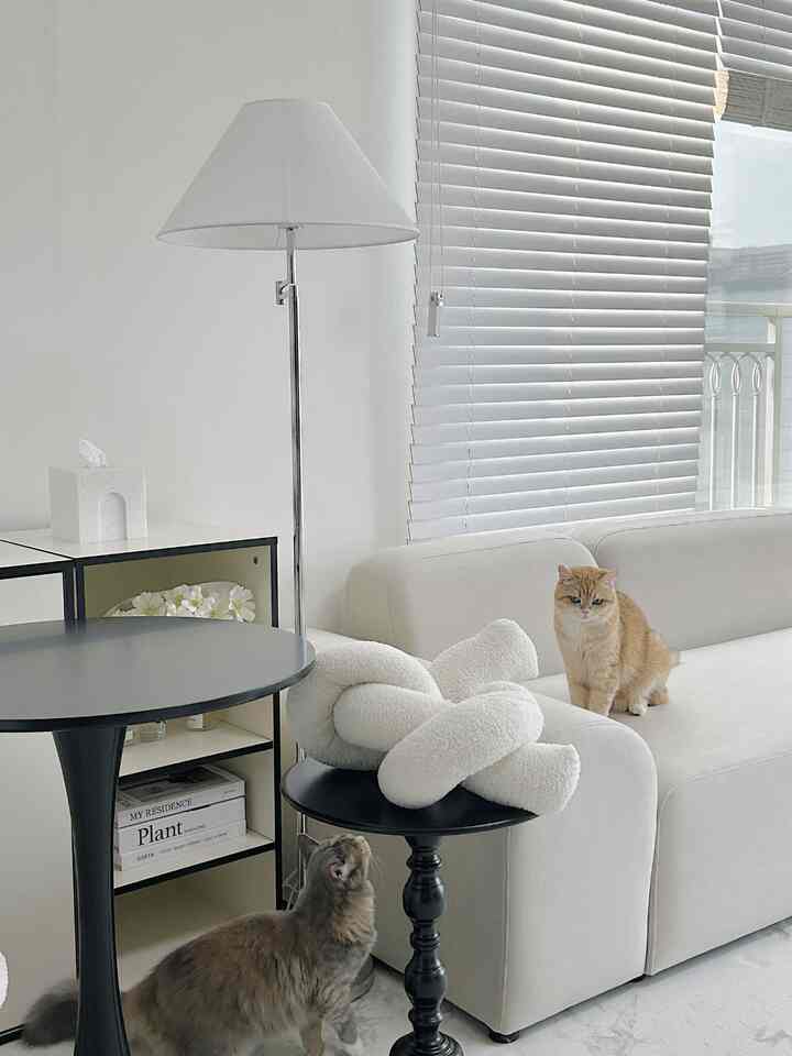 Monotone white and black living room with two cats, showcasing modern and minimalistic interior design
