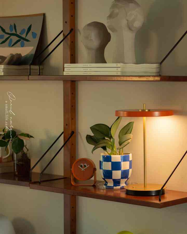 #분갈이, bagaimana dengan #화분?
Kali ini, pot bunga dari #모던하우스,
dan penuh dengan nuansa musim panas.🌿

#Interior rak dinding #벽선반 #벽꾸미기 #식물일기 #식물일기 #신혼집 #거실 #복도식아파트