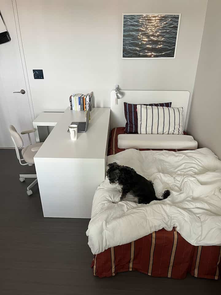 White and brown toned compact studio bedroom featuring bed, desk, and a small dog, creating a calm and functional space