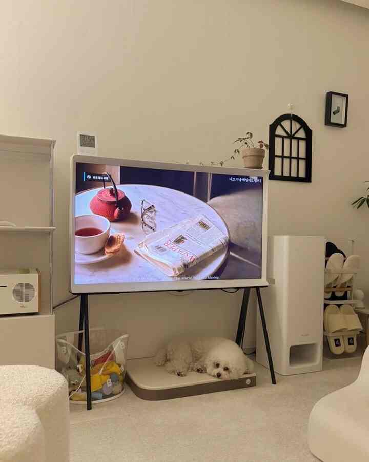 明るいホワイトトーンのリビング、中央にテレビスタンドがあり、その下の人工大理石製クールマットの上に白い犬が横たわるモダンな空間