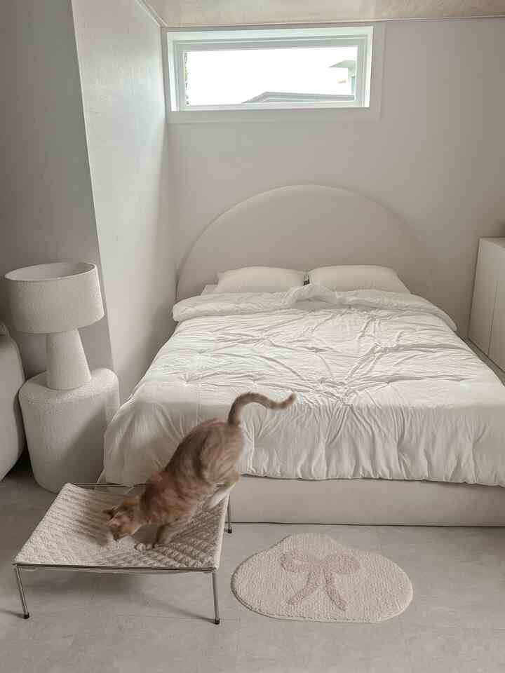 White-toned bedroom featuring an arch-shaped bed, a stool, and a cat creating a cozy atmosphere