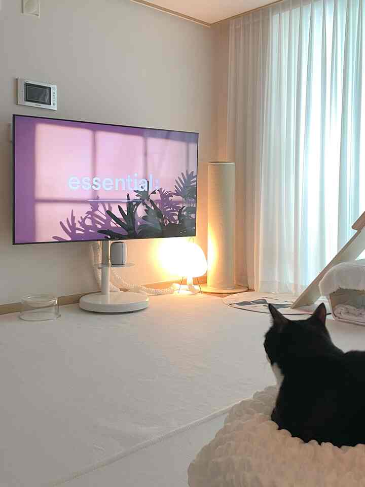 ＃自宅で最高の忙しい＃コンスープ記録 
私の子の家でテレビを見て一番忙しい!!!!
あちこち家に帰る
私は一緒に座ってテレビを見ながら癒します。

忙しい忙しい！ 
テレビを見て忙しい！
テレビがなければモンサンダ！

車輪付きリムーバブルテレビ台
リビングルームで見る
キッチンダイニングテーブルに座っても見て
テレビを離さなければ外せません。

＃コミュニケーション＃コミュニケーション＃リビングルーム＃移動式台座
＃テレビ台所＃リムーバブルテレビ台台
＃テレビ＃テレビ＃テレビスタンド＃テレビスタンド 
#ホワイトウッド #リビングインテリア 
＃ホワイトカーテン＃ホワイトトラック
#ホワイトインテリア #ホワイト
＃ホワイトリビングルーム＃ホワイトリビングルームインテリア
#猫 #ペット #ニャンテリア 
＃猫の家＃猫の家の家 
＃執事日常＃今日のダニャン＃ヒーリングタイム 
