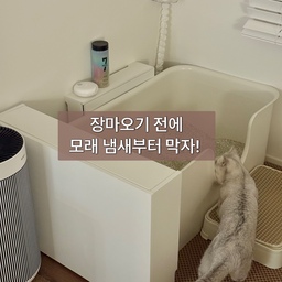 장마오기 전에
모래 냄새부터 막자!!! 
오늘은 장마시즌이 다가오고 있는 만큼!!! ☔️
요 시즌에 딱 사용하기 좋은 모래탈취제입니다👊
#콘수프기록 #내돈내산 #고양이 #고양이화장실 #고양이모래 #고양이탈취제 #고양이화장실냄새 #고양이화장실장마 #고양이장마 #냥테리어 #펫테리어 #모래매트 #타일카페트 #무타공벽선반 #홈캠거치대 #무타공홈캠거치대 #홈캠 #침대사이드선반 #침대사이드테이블 #가벽공간분리 