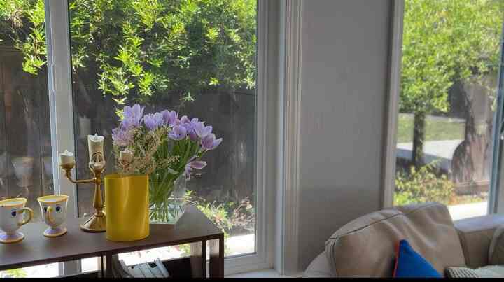 One fine day, 

#flower #livingroom #cozy 