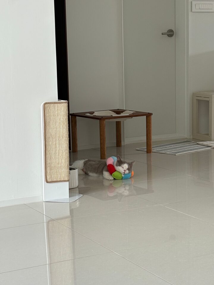 short form carousel card thumbnail